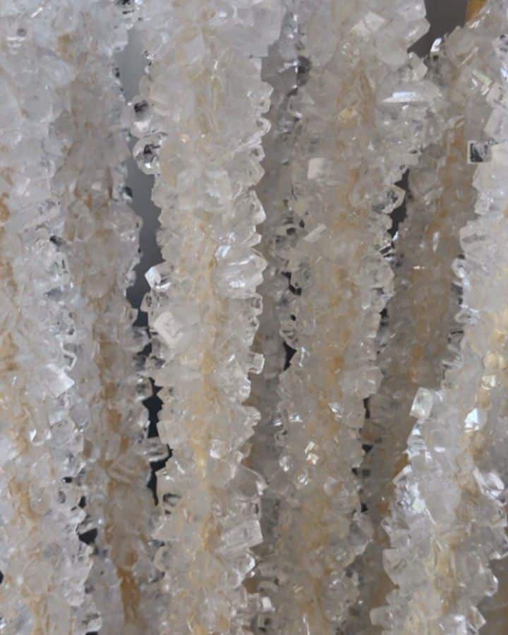 نبات شاخه سفید اعلاء - تصویر 4