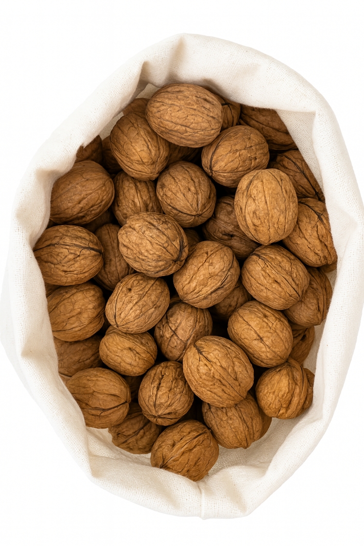 گردو خوش طعم صادراتی