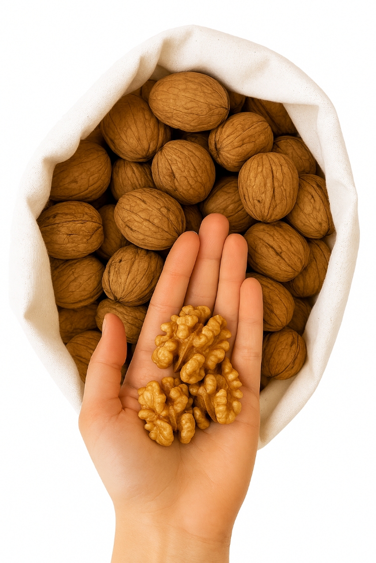 گردو خوش طعم صادراتی - Image 2