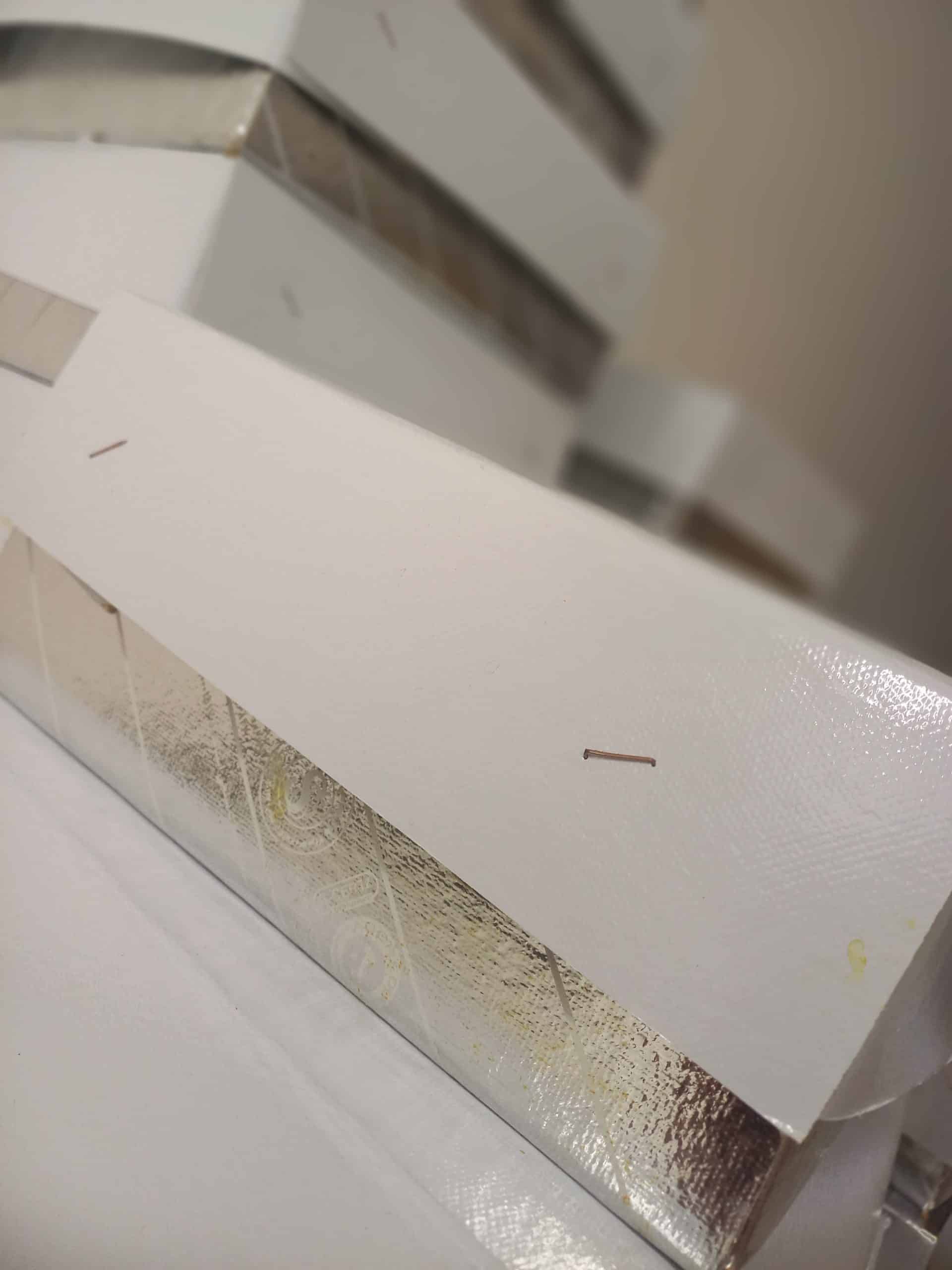 نبات نیدار زعفرانی پرک دار - تصویر 4